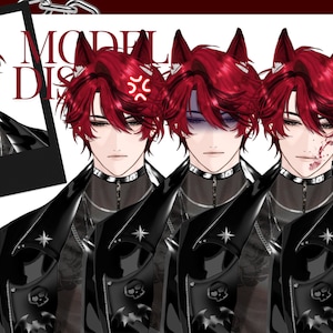 Vtuber Male model live2d (Ready to use, Premade)