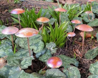 Copper Mushrooms