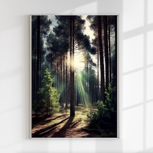Cartel del bosque, impresión forestal, impresión de tala de bosques, cartel de tala de bosques, impresión digital, tala de bosques, cartel digital, impresión de la naturaleza