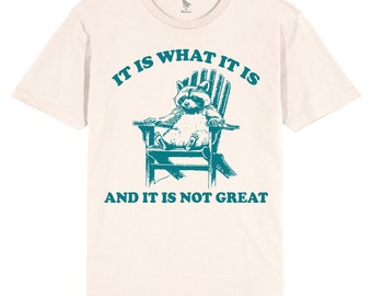 May include: A beige t-shirt with a teal graphic of a raccoon sitting in a chair. The text "It is what it is and it is not great" is printed on the shirt.