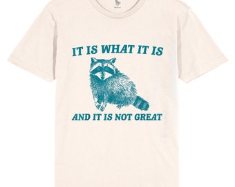 May include: A beige t-shirt with a teal raccoon graphic and the text "IT IS WHAT IT IS AND IT IS NOT GREAT".