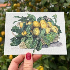 Postal de cesta de limones en acuarela (versión impresa o digital), Naturaleza muerta italiana de LizaBeta