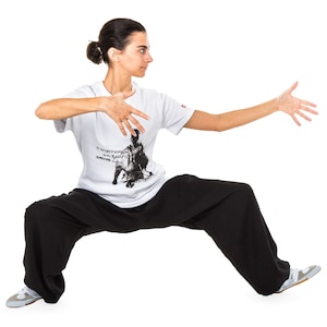 Training Pant Cotton Linen (light) Kung Fu Yoga - For Martial Arts Tai Chi Training Workout Meditation Casual