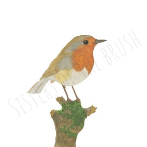 Gerald the Robin - Watercolour Painting - Digital Download - Robin Painting