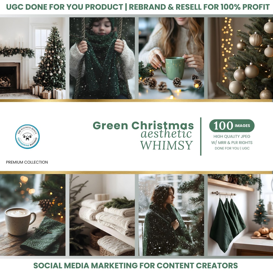 Comparison With Competitors of (Unrestricted PLR) Christmas Holiday Profit Vault Review