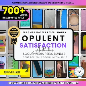 Viral ASMR Satisfying Faceless Video Ideas | Work from Home, PLR MRR Resell Digital Products, Home Business Planner, Social Media Reels