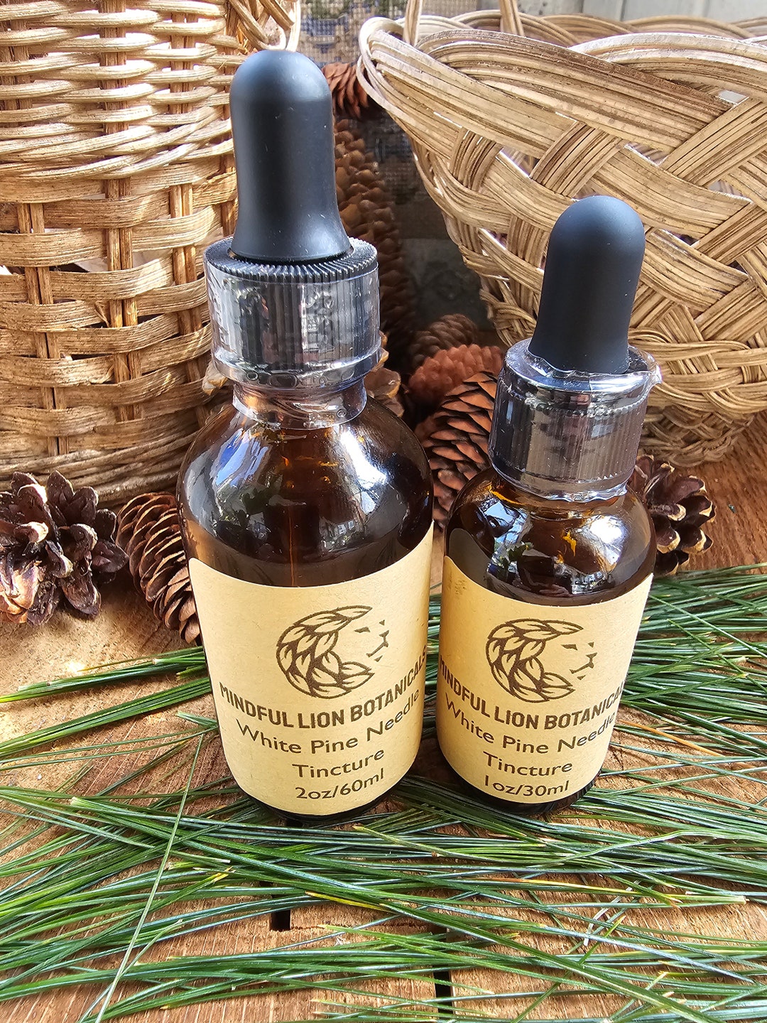 White Pine Needle Tincture Etsy