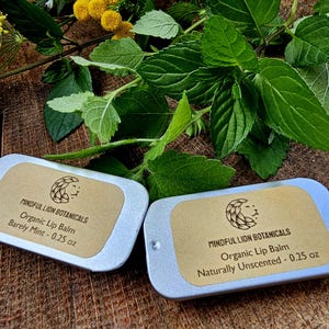 Lip Balm