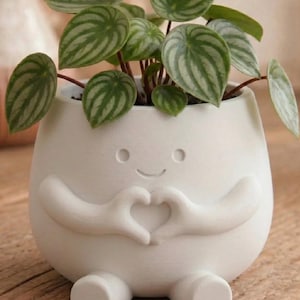 Love Plant Pot with Plant & Personalized Card – Gift for Friend, Family