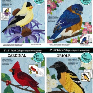 Patrón de collage de tela BIRD, paquete de 4, aplique de borde sin rematar para colcha artística