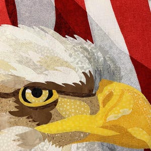 AMERICAN EAGLE Fabric Collage Pattern, Raw Edge Applique, Art Quilt - Etsy
