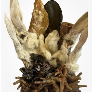 Caja de 30 masticables naturales para perros: variedad mixta de patas de pollo, patas de pollo infladas, orejas de vaca, tráquea, palitos de carne, cuellos de pollo y mucho más.