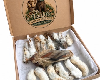 Scatola di snack naturali per cani / Snack masticabili a lunga durata per cani / Snack per cani essiccati all'aria / Confezione di snack masticabili per cani (Regno Unito)