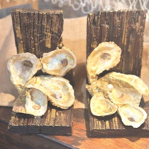 May include: Two rustic wooden bookends with gold accents, each adorned with several oyster shells. The shells are a creamy beige color, some with small pearls inside. The wood has a textured, weathered appearance.