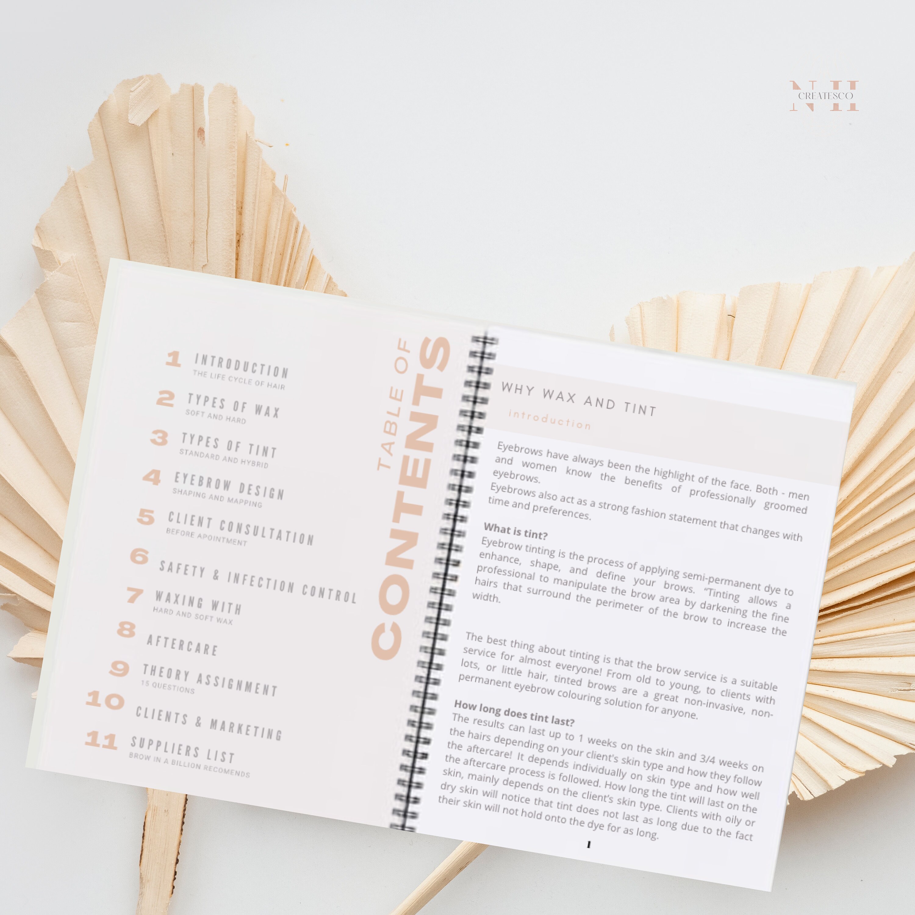 Waxing and Tint Training Manual Etsy