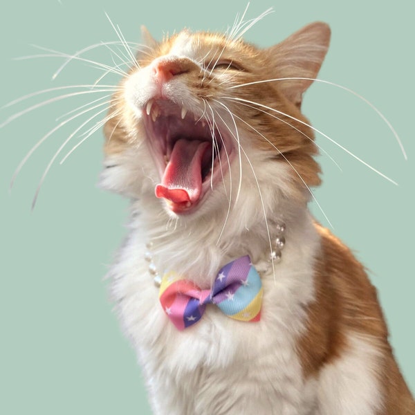 LGBTQ Pride Katzenhalsband / Regenbogen Bunte Fliege Halskette für Katzen und Hunde / Accessoires für Katzen / Katzenhalsband mit Perle / Geschenk für Katzenbesitzer