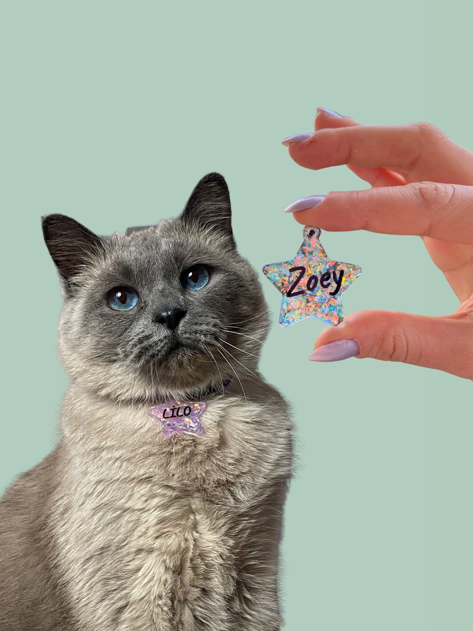 Epoxy Collar Tag for Cats and Dogs/ Cute Cat and Dog Id Tag/ Custom