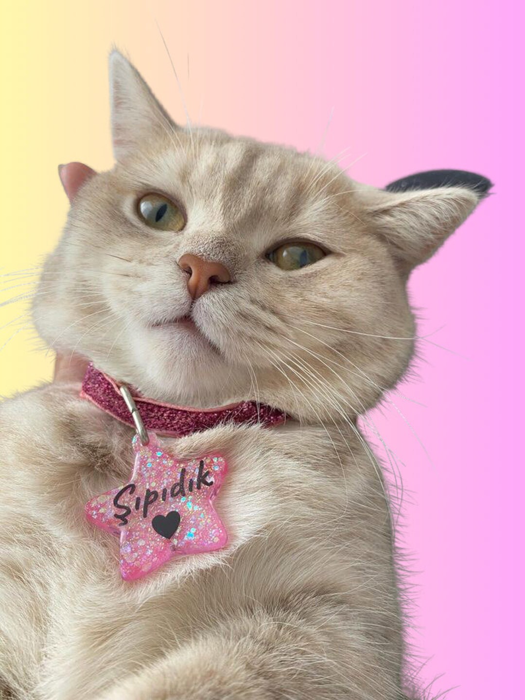 Epoxy Collar Tag for Cats and Dogs/ Cute Cat and Dog Id Tag/ Custom