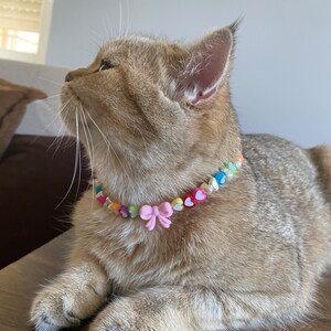 Neclace for Cats/colored Beaded Necklaces for Dogs/ Figured Colorful