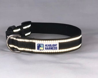 Reflective Collars by Headlight Harness