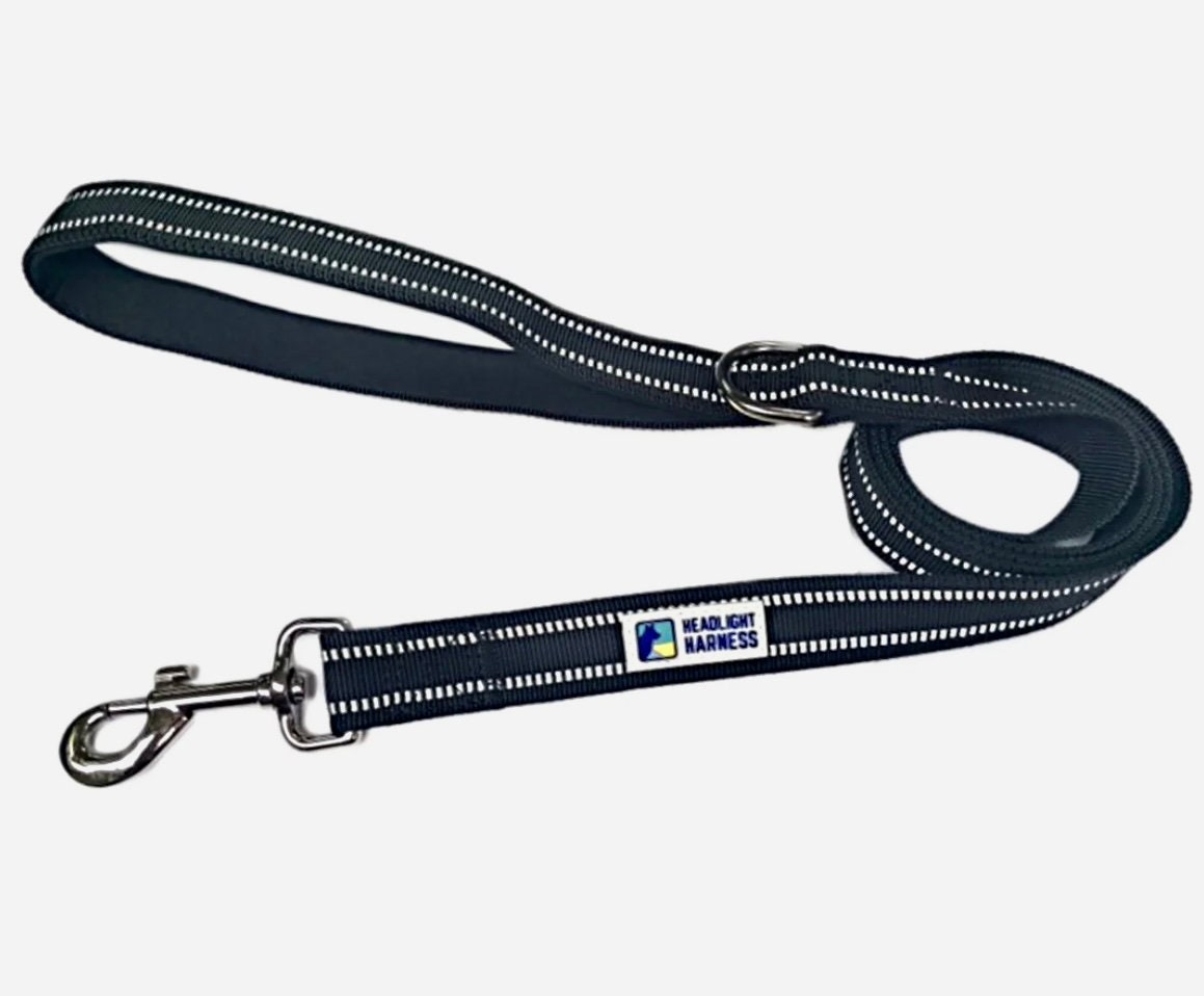 Headlight Harness Reflective Leash