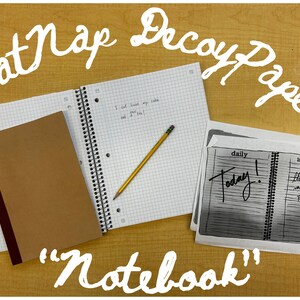 Può includere: Primo piano di tre quaderni su una superficie di legno. I quaderni sono etichettati "Cat Nap Decoy Paper" e "Notebook". Un quaderno è marrone con una rilegatura rossa, un altro è un quaderno a quadretti con una matita gialla, e il terzo è un quaderno in bianco e nero con le parole "daily" e "inspirations" scritte sulla copertina.