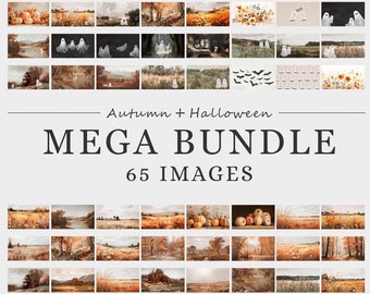 Halloween Frame TV Art Set, Autumn Wildflower Arts for TV Bundle, Vintage Fall Landscape Paintings, Spooky Arts, Samsung Frame TV Set |TS13