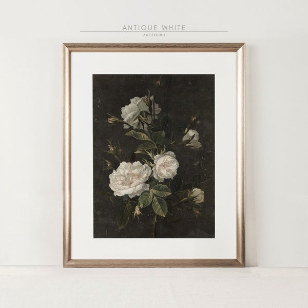 Vintage Blumen-Druck, schwarze Academia botanische Wandkunst, weiße Rosen, stimmungsvolle Rosen Stillleben Ölgemälde, DRUCKBARE digitale Kunst | A39