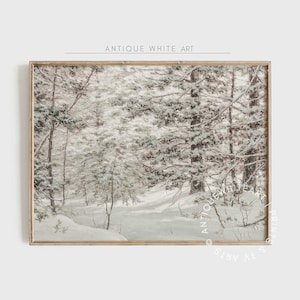 Puede incluir: Una impresión vintage enmarcada de una escena de bosque nevado. La obra de arte presenta un camino que serpentea a través de árboles cubiertos de nieve, con el texto "ANTIQUE WHITE ART" en la parte superior y "ANTIQUE WHITE ART PRINTS & TV ARTS" en el lado derecho.