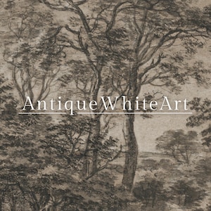 May include: A sepia-toned landscape art print featuring a detailed charcoal drawing of a forest scene. The artwork showcases tall trees and dense foliage, with the text "AntiqueWhiteArt" in the center.