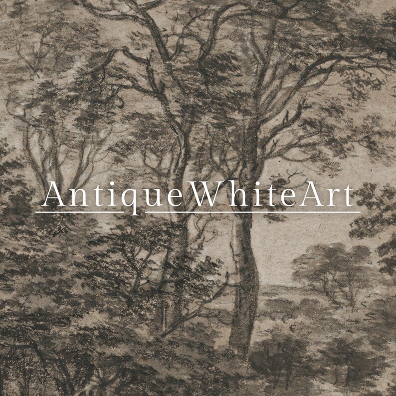 May include: A sepia-toned landscape art print featuring a detailed charcoal drawing of a forest scene. The artwork showcases tall trees and dense foliage, with the text "AntiqueWhiteArt" in the center.