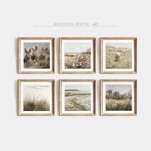 May include: Set of six framed prints featuring nature scenes in muted tones. The prints depict a field of wildflowers, a flock of sheep, a pair of rabbits, and three different views of a grassy field.
