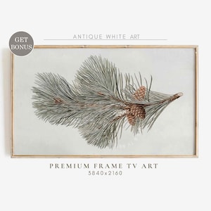 Winter Botanical Frame TV Art, Neutral Winter Samsung Frame TV Art, Farmhouse Decor, Pine Tree Art for TV, Instant Digital Download | WA63