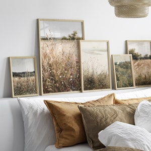 May include: Five framed nature prints in a watercolour style depicting various landscapes with tall grasses and flowers. The prints are arranged in a row on a white surface with brown cushions in front of them.