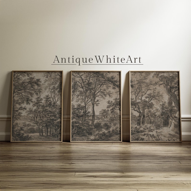 May include: Three framed black and white drawings of trees in a woodland setting. The drawings are in a vintage style and have a rustic feel.