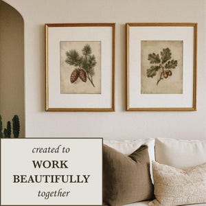May include: Two framed wall art prints featuring botanical illustrations. The left print depicts a pine branch with two brown cones. The right print shows an oak branch with green leaves and two brown acorns. Both are in light wood frames.