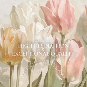 May include: A close-up of a bouquet of pastel pink, white, and peach tulips. The image is labeled "Antique White Art High Resolution & Exceptional Quality".