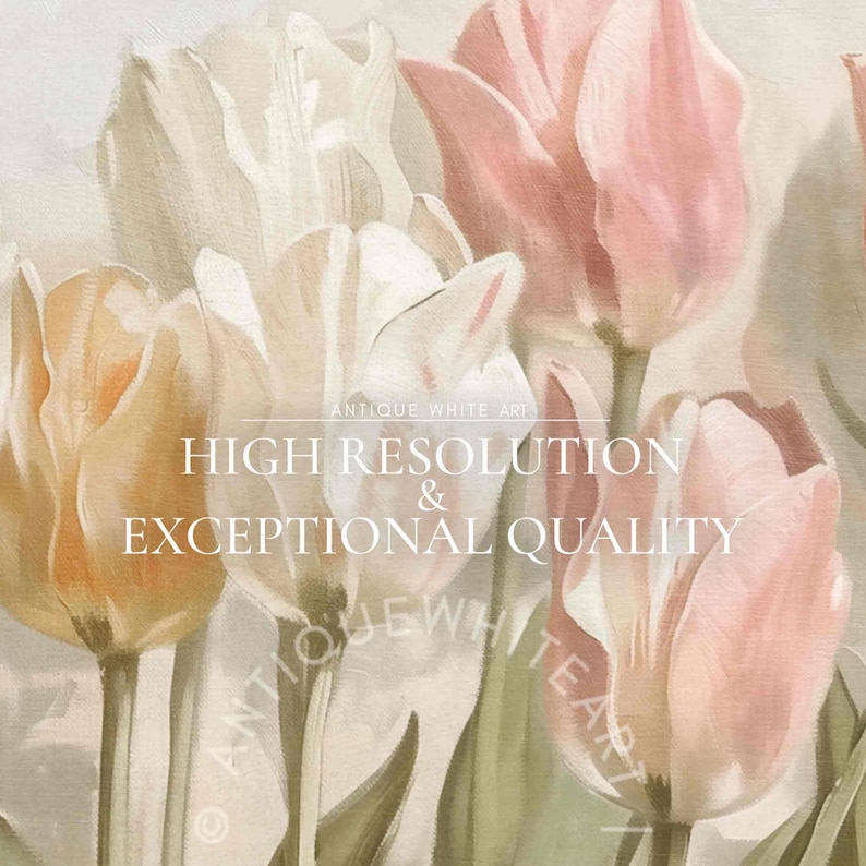 May include: A close-up of a bouquet of pastel pink, white, and peach tulips. The image is labeled "Antique White Art High Resolution & Exceptional Quality".