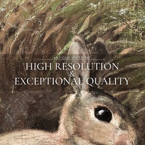Peut inclure: Un gros plan sur une peinture repr&eacute;sentant l'&oelig;il d'un lapin. La peinture est r&eacute;alis&eacute;e dans un style r&eacute;aliste, mettant l'accent sur la texture et les d&eacute;tails. Le texte "HIGH RESOLUTION & EXCEPTIONAL QUALITY" est superpos&eacute; &agrave; l'image.