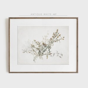 K&ouml;nnte beinhalten: Eine gerahmte botanische Illustration einer Gruppe zarter wei&szlig;er und gr&uuml;ner Wildblumen mit braunen Knospen. Das Kunstwerk ist auf wei&szlig;em Hintergrund gehalten und hat eine schlichte, minimalistische &Auml;sthetik.