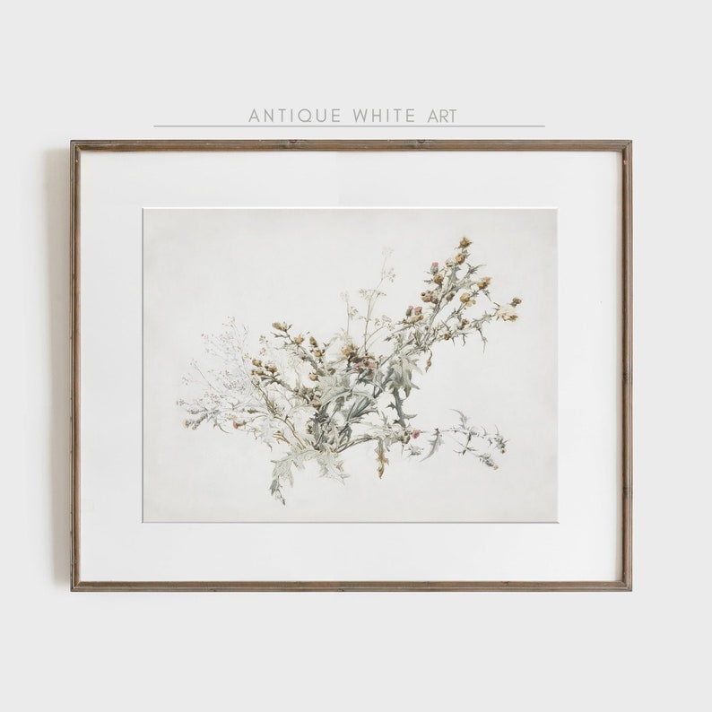 K&ouml;nnte beinhalten: Eine gerahmte botanische Illustration einer Gruppe zarter wei&szlig;er und gr&uuml;ner Wildblumen mit braunen Knospen. Das Kunstwerk ist auf wei&szlig;em Hintergrund gehalten und hat eine schlichte, minimalistische &Auml;sthetik.