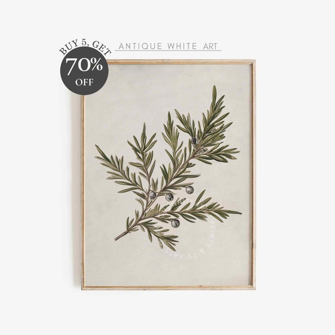 Country Christmas Botanical Print, Printable Christmas Wall Art, Moody ...