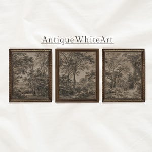 May include: Set of three antique-style framed prints featuring black and white drawings of trees and landscapes. The frames are brown with gold accents.