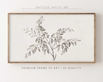 Boceto de flores neutras para Samsung Frame TV Art, pintura de flores de otoño, boceto vintage, tonos pastel cálidos, descarga digital Frame TV Art / TV63