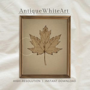 Printable Autumn Maple Leaf Print, Vintage Fall Wall Art, Neutral Rustic Halloween Decor, Cottagecore Prints, Fall Digital Download | A483