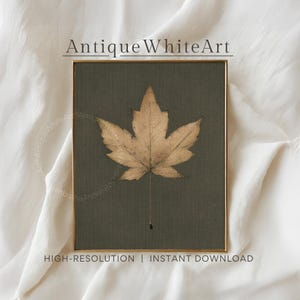 Printable Autumn Maple Leaf Print, Vintage Fall Wall Art, Neutral Rustic Print, Dark Green Halloween Decor, Fall Digital Download | A576