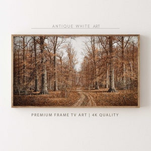 May include: A framed landscape print featuring a forest scene with a dirt path winding through the trees. The artwork has a warm color palette of browns and tans, with the text "ANTIQUE WHITE ART" and "PREMIUM FRAME TV ART | 4K QUALITY".