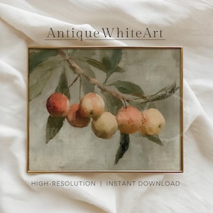 Vintage Kitchen Print, Dining Room Print, Still Life Apples Painting, Fruit Wall Art, Country Kitchen Decor, PRINTABLE Digital Download A470