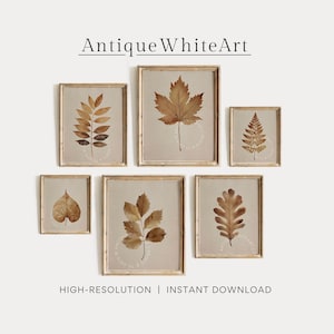 May include: A collection of six framed botanical prints featuring pressed leaves in shades of brown and beige. The prints are displayed against a neutral background, with gold-colored frames. The text "Antique WhiteArt" and "HIGH-RESOLUTION | INSTANT DOWNLOAD" are visible.