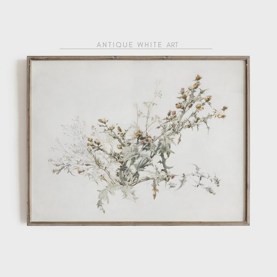 Vintage Botanical Wall Art, Antique Wildflower Sketch, Neutral Botanical Drawing, Spring Flower Print | Digital Download | A134